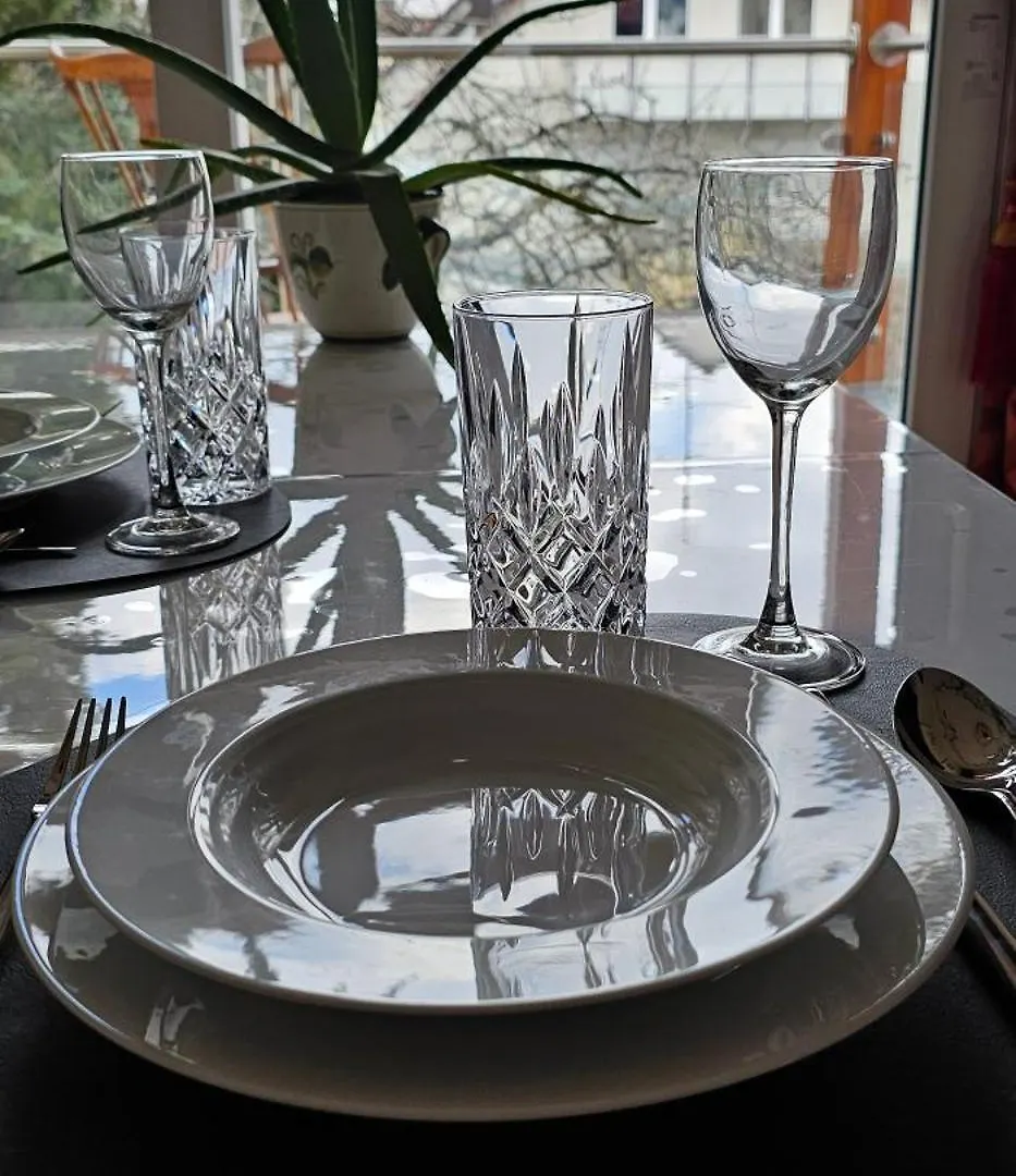 Apartmán The Smart Living Nest Štutgart